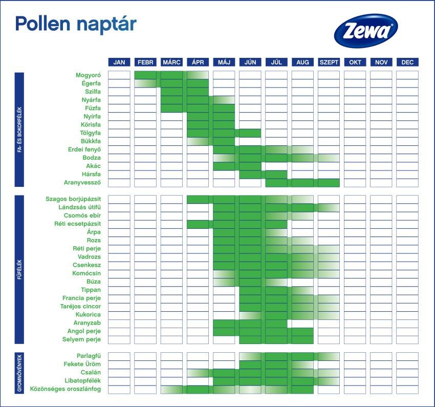 https://www.zewa.hu/promotions/fellelegezni-az-allergia-szezonban/pollennaptar